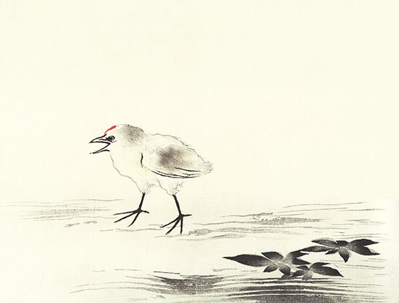 photo17.jpg