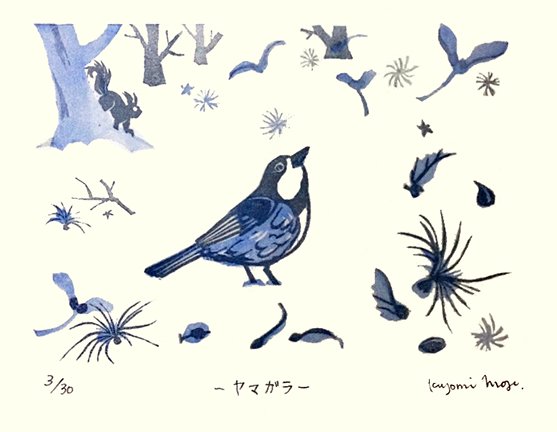photo24.jpg