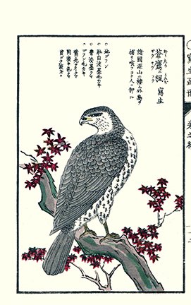 photo20.jpg
