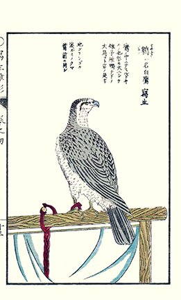 photo21.jpg