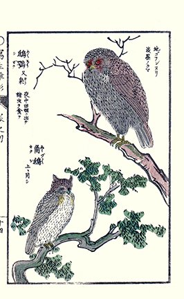 photo23.jpg
