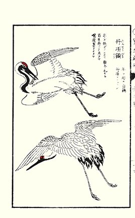 photo27.jpg
