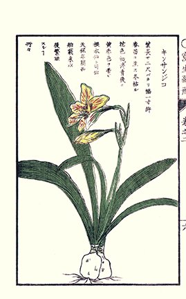 photo36.jpg