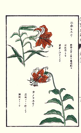 photo42.jpg