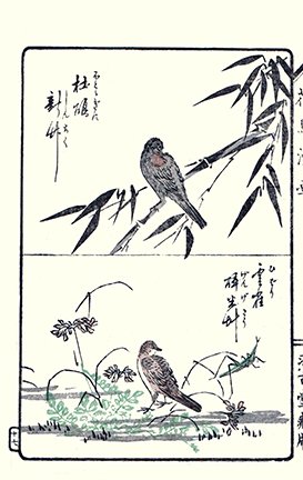photo20.jpg