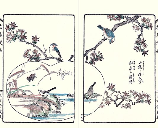 photo8.jpg
