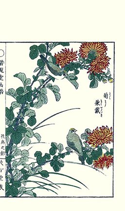 photo28.jpg