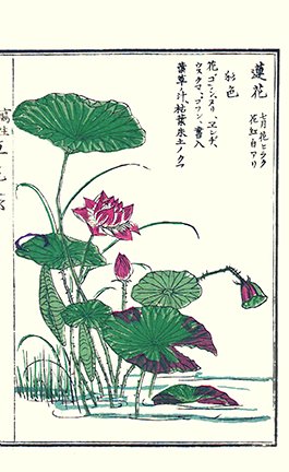photo17.jpg