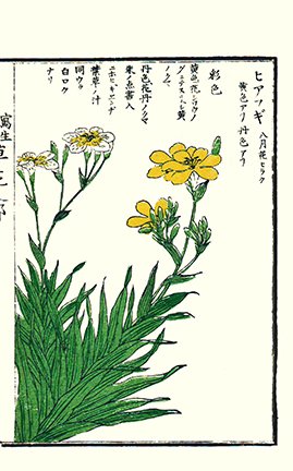 photo23.jpg