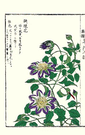 photo26.jpg