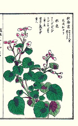 photo29.jpg