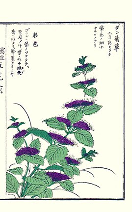 photo31.jpg