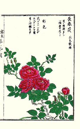 photo33.jpg