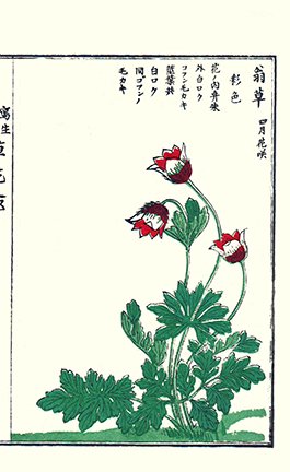 photo35.jpg