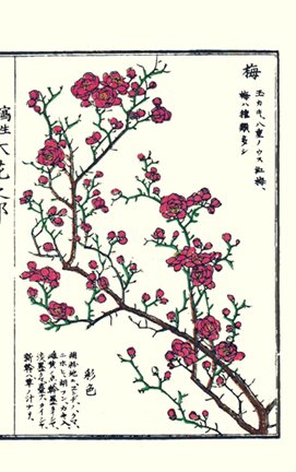 photo41.jpg