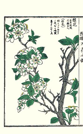 photo44.jpg
