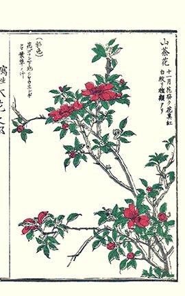 photo53.jpg