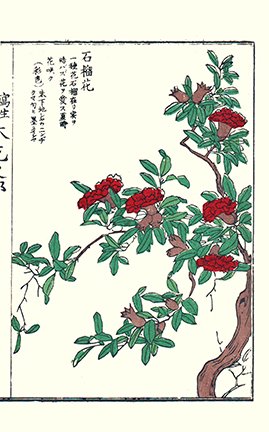 photo61.jpg
