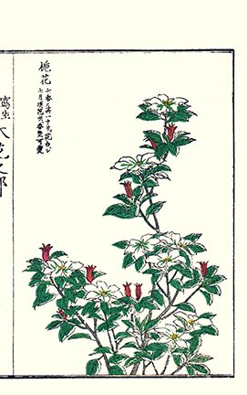 photo77.jpg