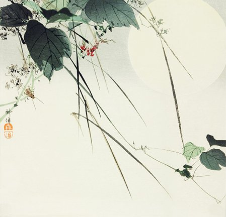 photo4.jpg