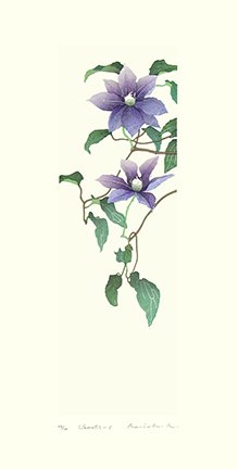 photo24.jpg