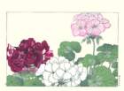 photo103_small.jpg