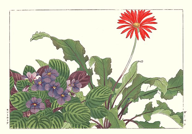 photo104.jpg