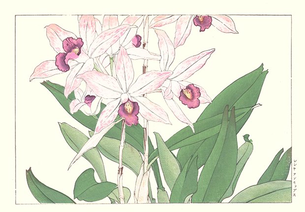 photo114.jpg