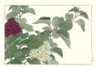 photo21_small.jpg