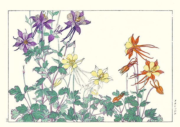 photo23.jpg