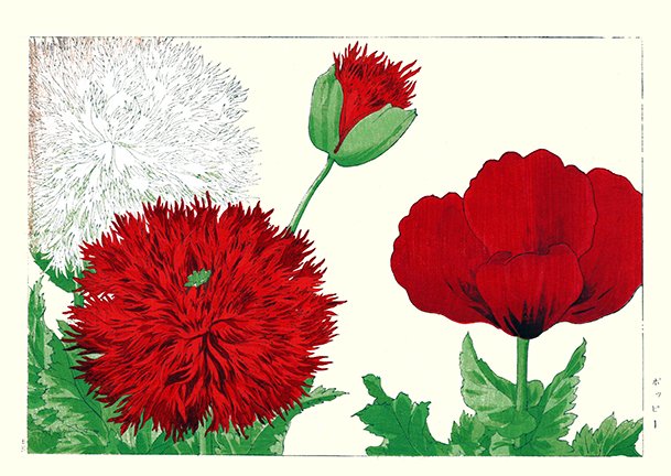 photo25.jpg