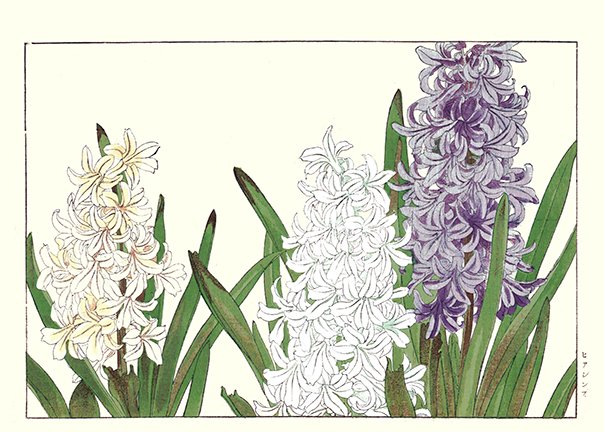 photo35.jpg