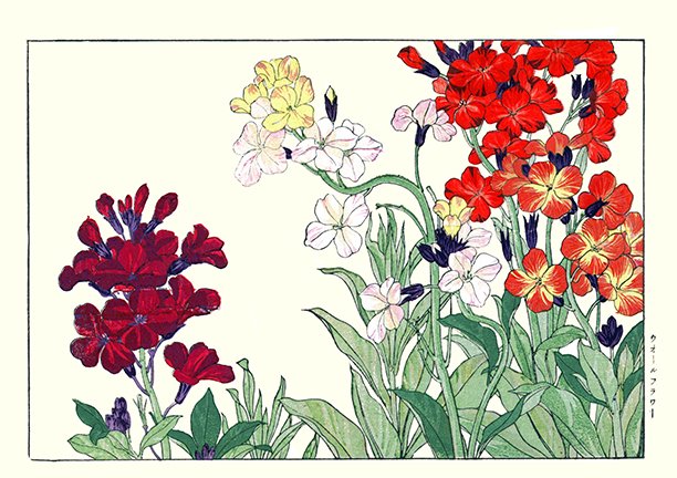 photo38.jpg