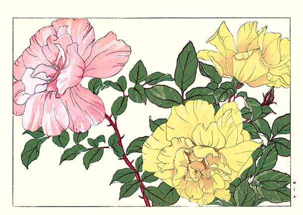 photo48.jpg