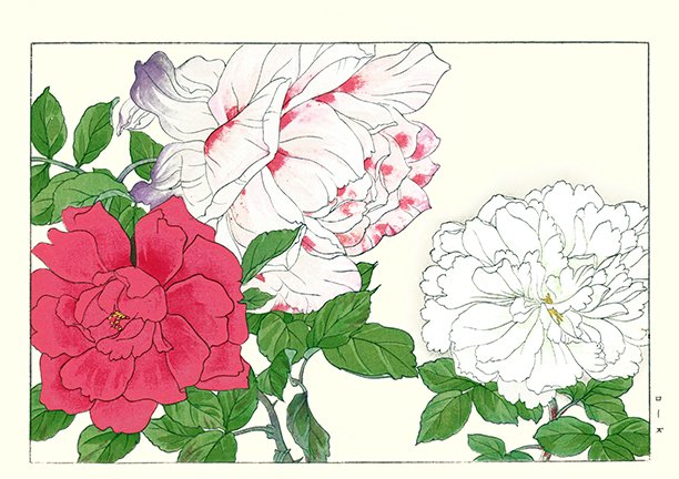 photo50.jpg