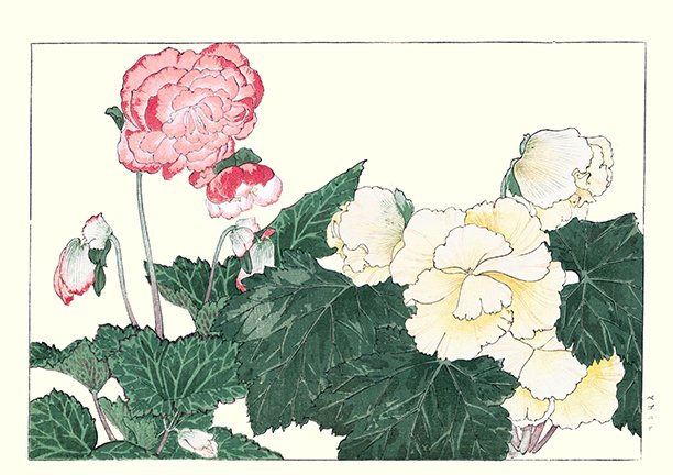 photo52.jpg