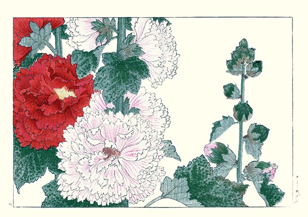 photo58.jpg