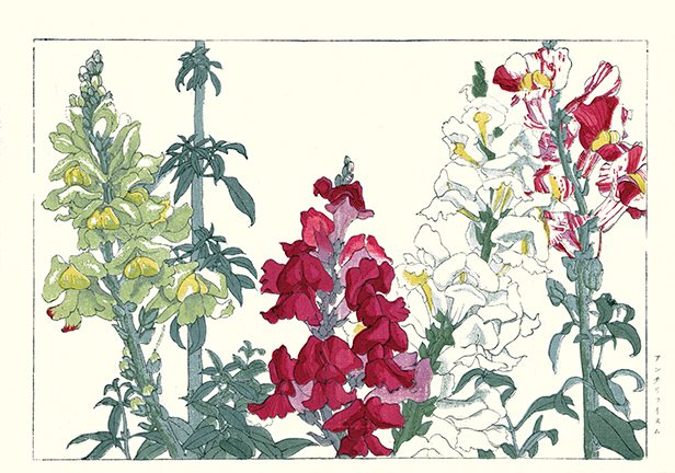 photo60.jpg