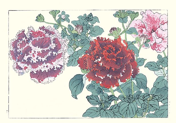 photo62.jpg