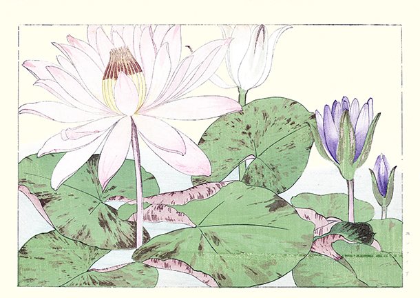 photo65.jpg