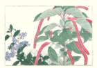 photo71_small.jpg