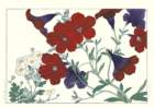 photo79_small.jpg