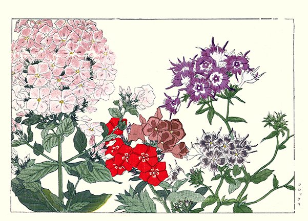 photo89.jpg