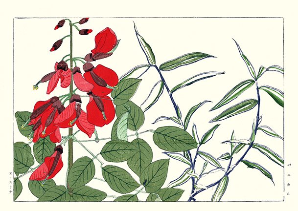 photo22.jpg