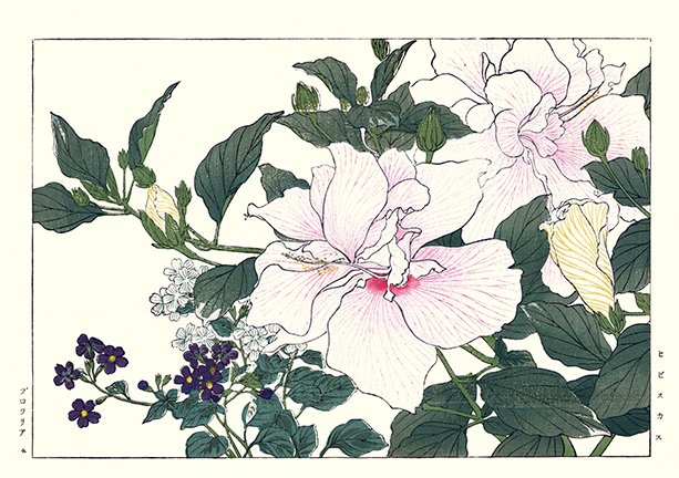 photo5.jpg