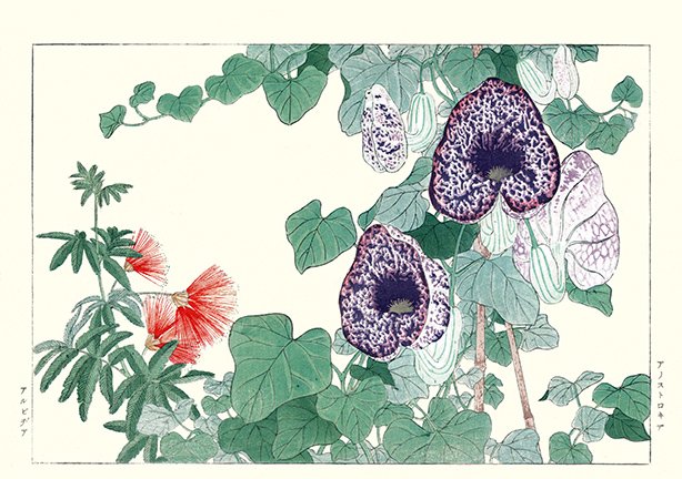 photo7.jpg
