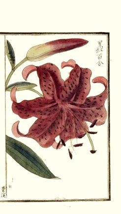 photo13.jpg
