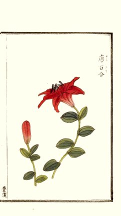 photo21.jpg