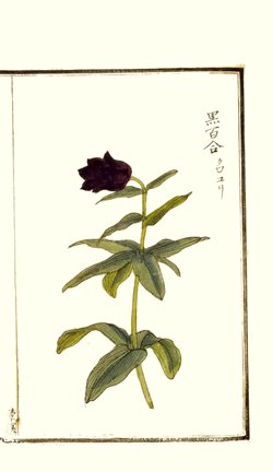 photo23.jpg