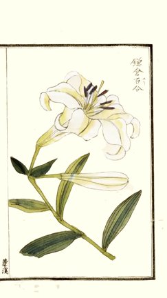 photo24.jpg